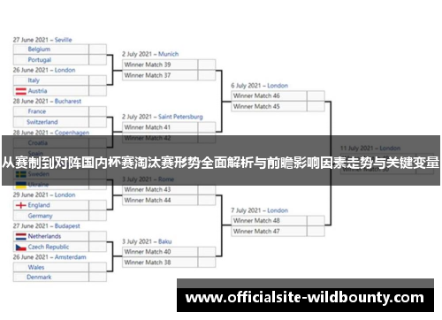 从赛制到对阵国内杯赛淘汰赛形势全面解析与前瞻影响因素走势与关键变量