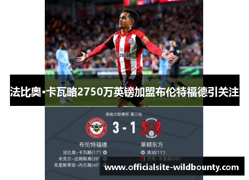 法比奥·卡瓦略2750万英镑加盟布伦特福德引关注