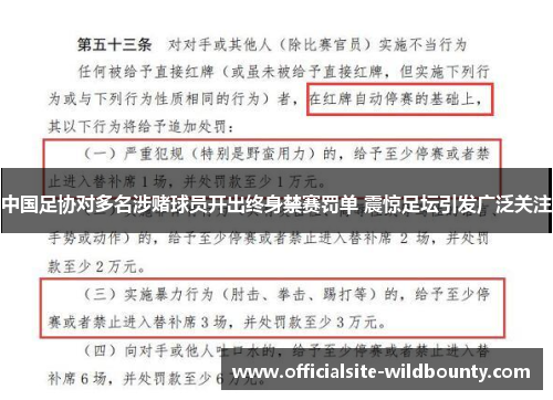 中国足协对多名涉赌球员开出终身禁赛罚单 震惊足坛引发广泛关注