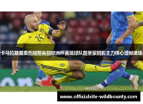 卡马拉膝盖重伤提前告别欧洲杯赛场球队前景蒙阴影主力核心遗憾退场